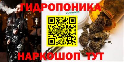 ГАЛЛЮЦИНОГЕННЫЕ ГРИБЫ Краснознаменск