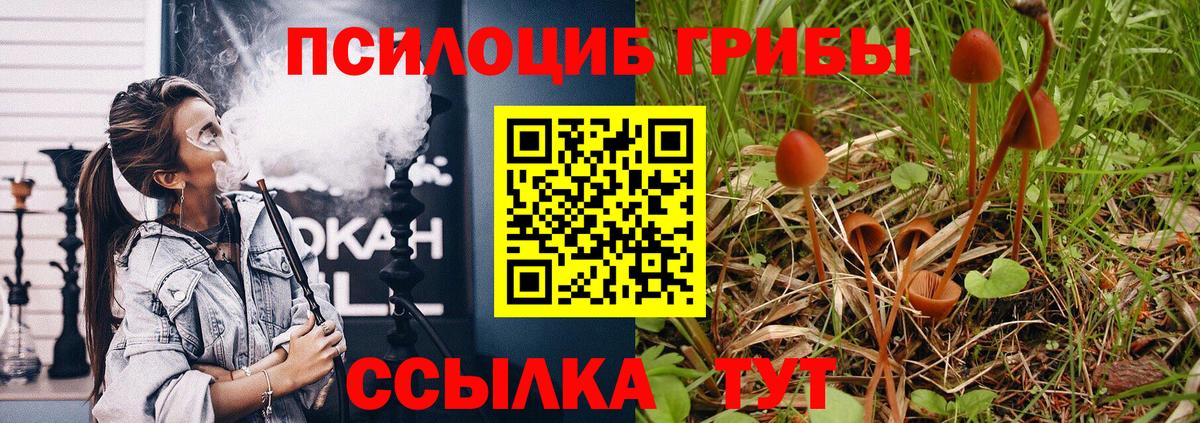 Галлюциногенные грибы Magic Shrooms  купить  цена  Ишимбай  Вход с VPN 