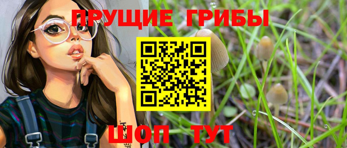 Галлюциногенные грибы Magic Shrooms Ишимбай